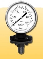 Pressure Gauges